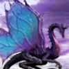 catdragon79